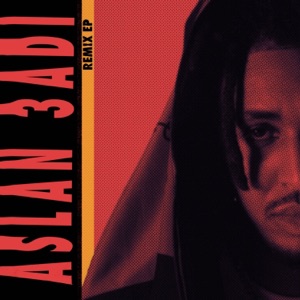 Aslan 3adi Remix - Single