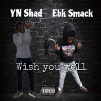 Wish you well (feat. Ebk Smack) - Single - YN Shad