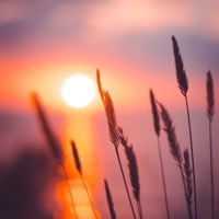 Worthy is your name - Single - Quick Stukes