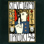 Steve Taylor - I Blew Up the Clinic Real Good