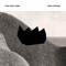 Brian Davis - This Fool Park lyrics