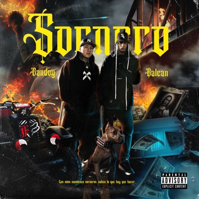 Sornero (feat. Bandog) - Single