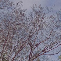 Lost, Vol. 1 - EP - sleeplessnights