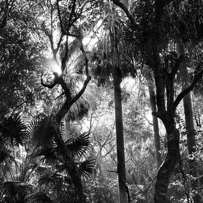 Mental Intercourse - Single