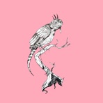 Lizard the Bird