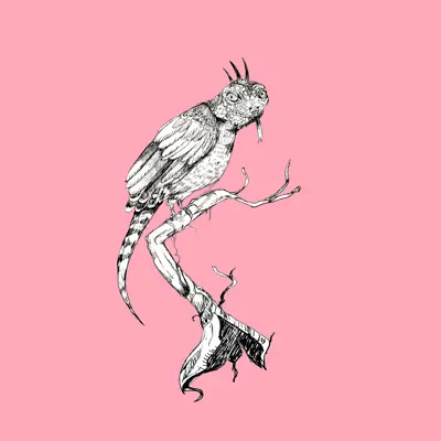 Listen to Lizard the Bird, watch music videos, read bio, see tour dates & more!