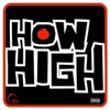 How High (feat. Audio Gawd Chill) - Single