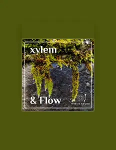 收听 Xylem、观看音乐视频、阅读小传、查看巡演日期等 ！