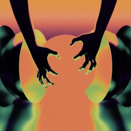 Comes With the Damage Chase Shakur