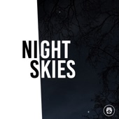 Night Skies artwork