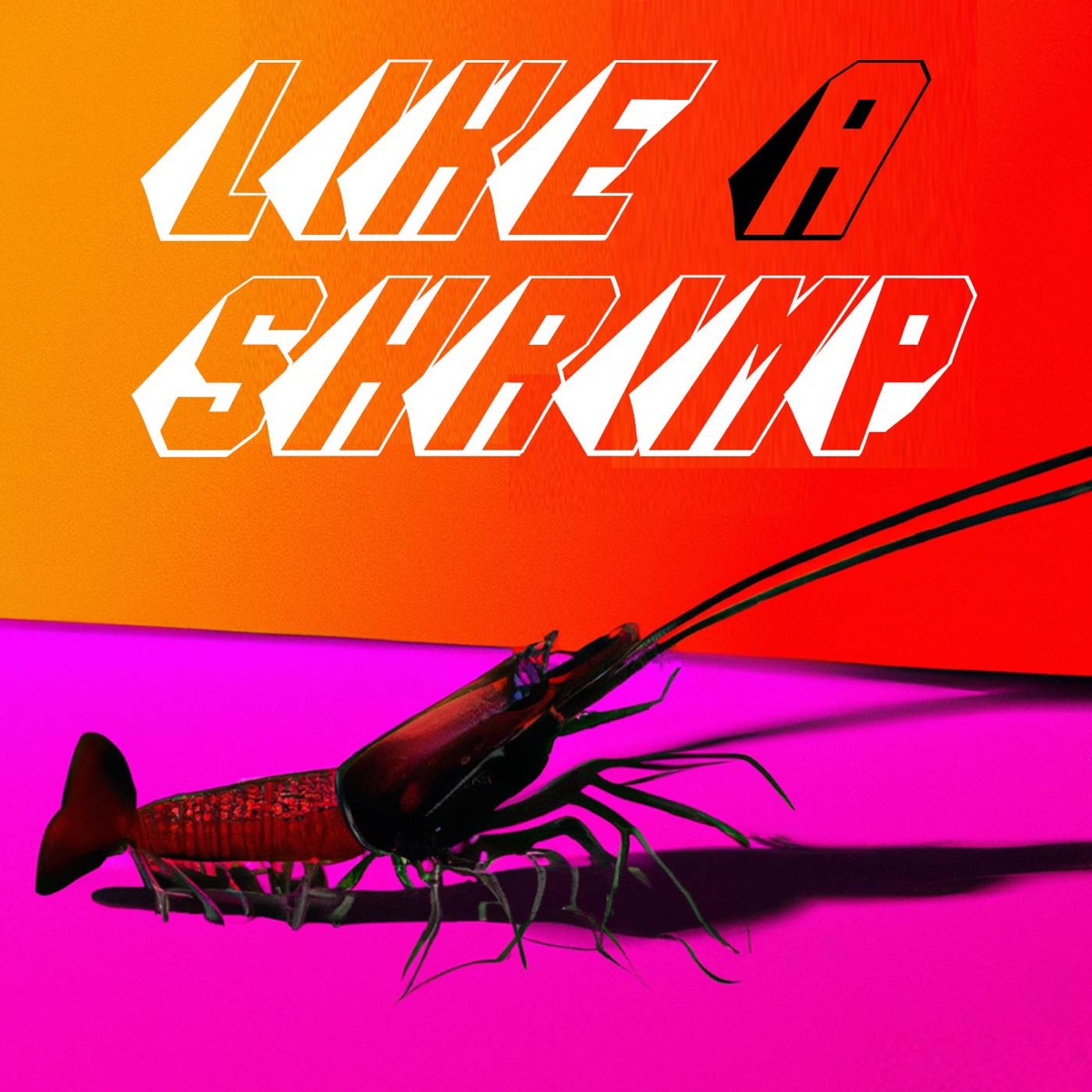 Shrimpdick