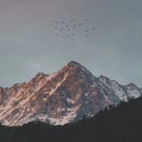 Montana - Single - HVRDWOOD