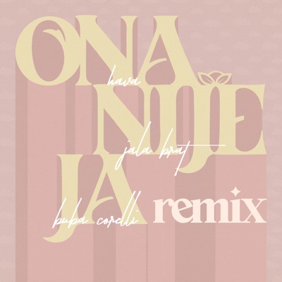 Ona Nije Ja :) (Remix) - Single
