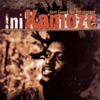 Here Comes the Hotstepper Heartical Mix - Ini Kamoze mp3