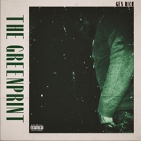 The Greenprint - GES Rich