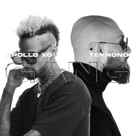 Gang (Extended) Apollo Xo & TekNoNo
