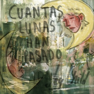Cuantas Lunas Han Pasado