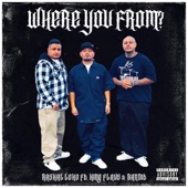 Where You From? (feat. King Flavs & Bandit Loko) artwork