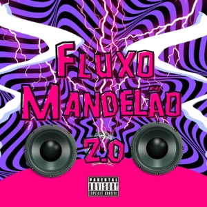 FLUXO MANDELÃO 2.0 (feat. SloopeBeats) - Single