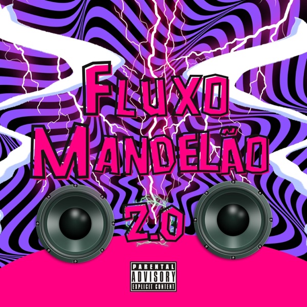 FLUXO MANDELÃO 2.0 (feat. SloopeBeats) - Single