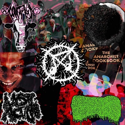 4 Way Split with Cow Tippers, Last Action and TxOxPxNxA (My Side) - Single