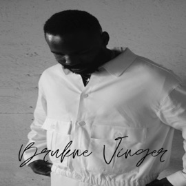 Brukne Vinger Michael Augustin