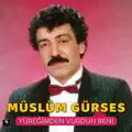 Yüreğimden Vurdun Beni