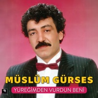 Müslüm Gürses - Mest Oldum