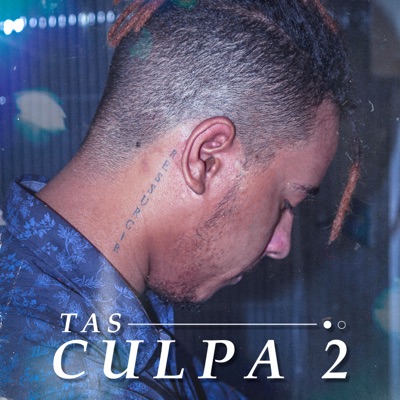 Culpa, Pt. 2 (feat. Raiashi) - Single