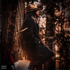 Good Things Go (feat. Levii) Nazzy