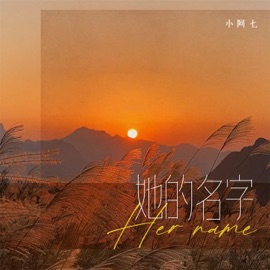 她的名字 (伴奏) Aqi Xiao