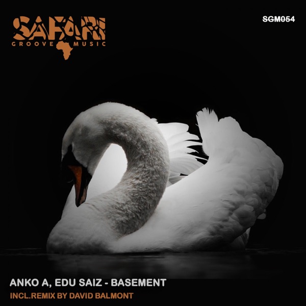 Basement - Single