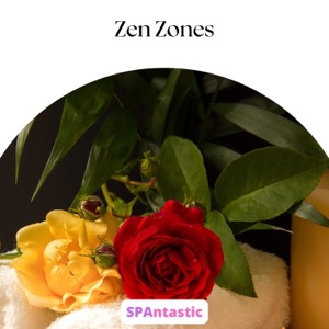 Zen Zones - EP