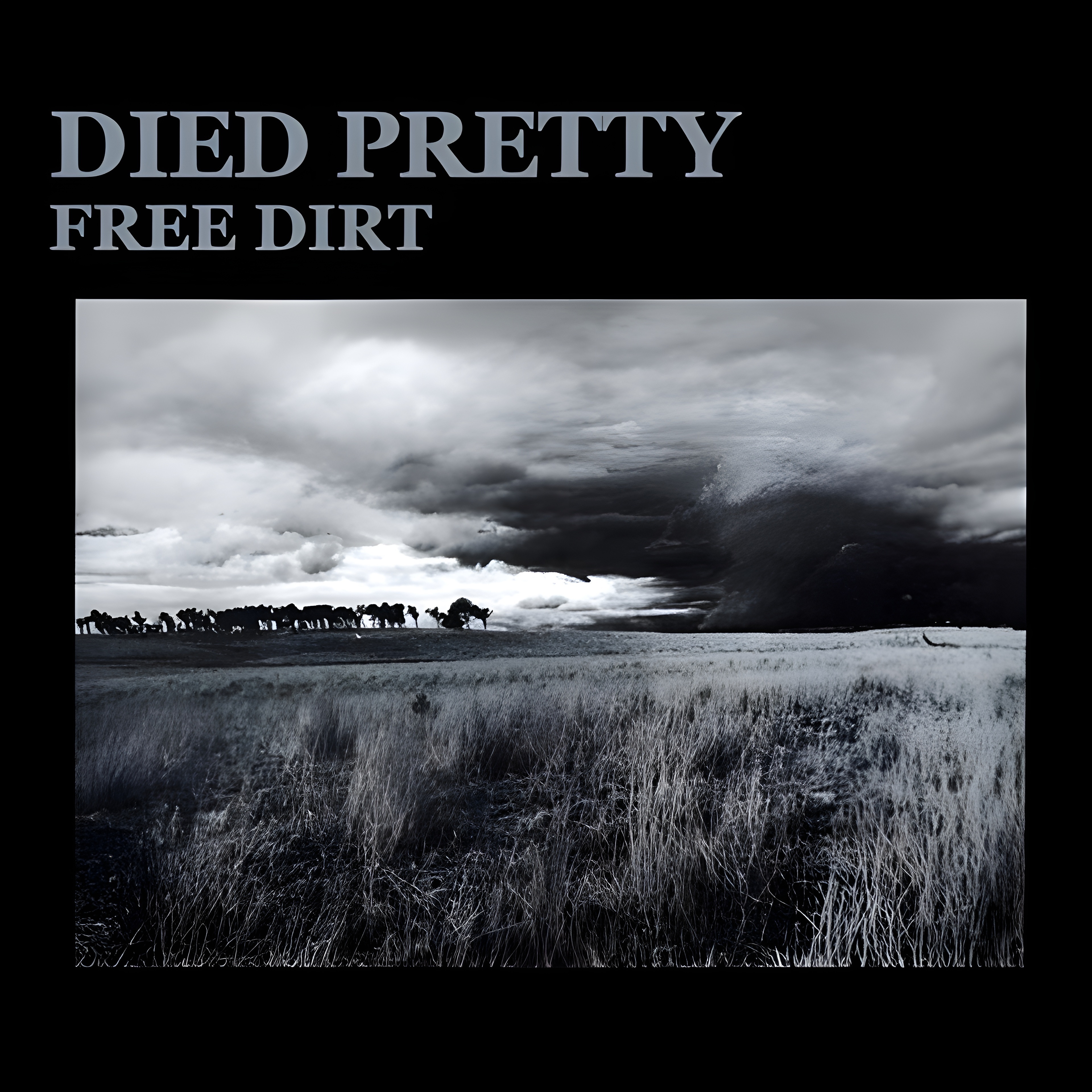Free Dirt