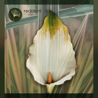 Viva a Vida (feat. Thaai di) - Single