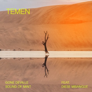 Temen (feat. Diese Mbangue) - Single