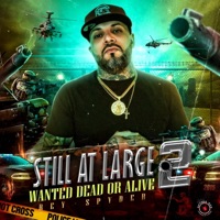 Still At Large 2: Wanted Dead Or Alive - EP - Rey Spyder