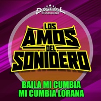Baila Mi Cumbia Mi Cumbia Lorana (feat. Digital Charanga) - Single - Los Amos Del Sonidero