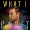 What I Can't - Single