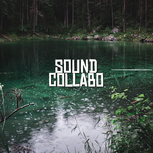 Nature Sounds of Rain - Single
