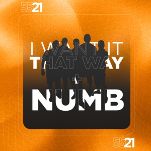 I Want It That Way (Ao Vivo)