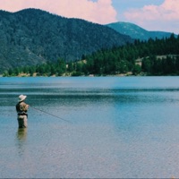 NO MORE - Single - idontknowjeffery