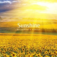 Sunshine - Single - Cameron Rohrer