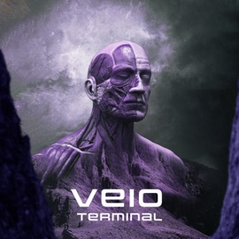 Terminal Veio