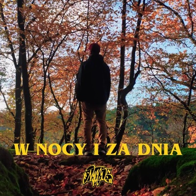 W Nocy I Za Dnia (feat. Albertus Magnus) - Single