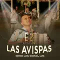 Las Avispas