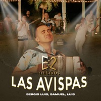 Las Avispas (Elegidos) [feat. Samuel Pérez & Luis] - Single - Sergio Luis Rodríguez
