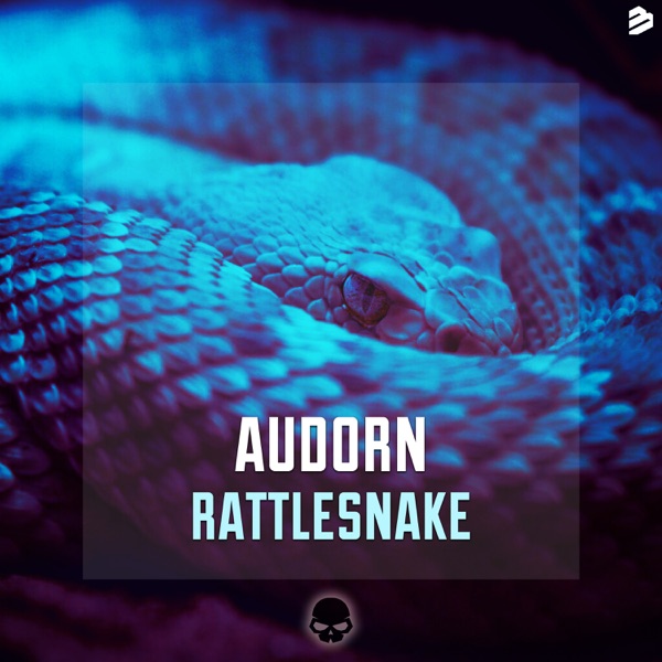 Rattlesnake - Single