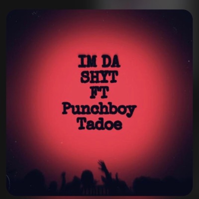 Im Da Shytt (feat. Punchboytadoe) - Single
