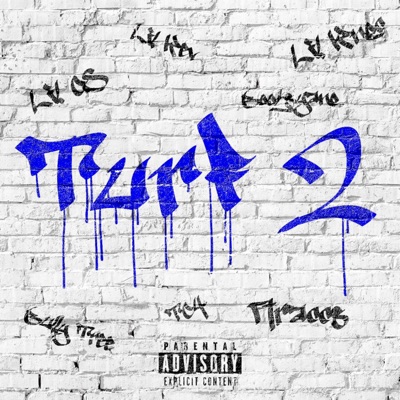 Turf 2 (feat. Lil CS, Lil Knoc, Lil Kev, Bootsyano, Bully Three & TC4) - Single